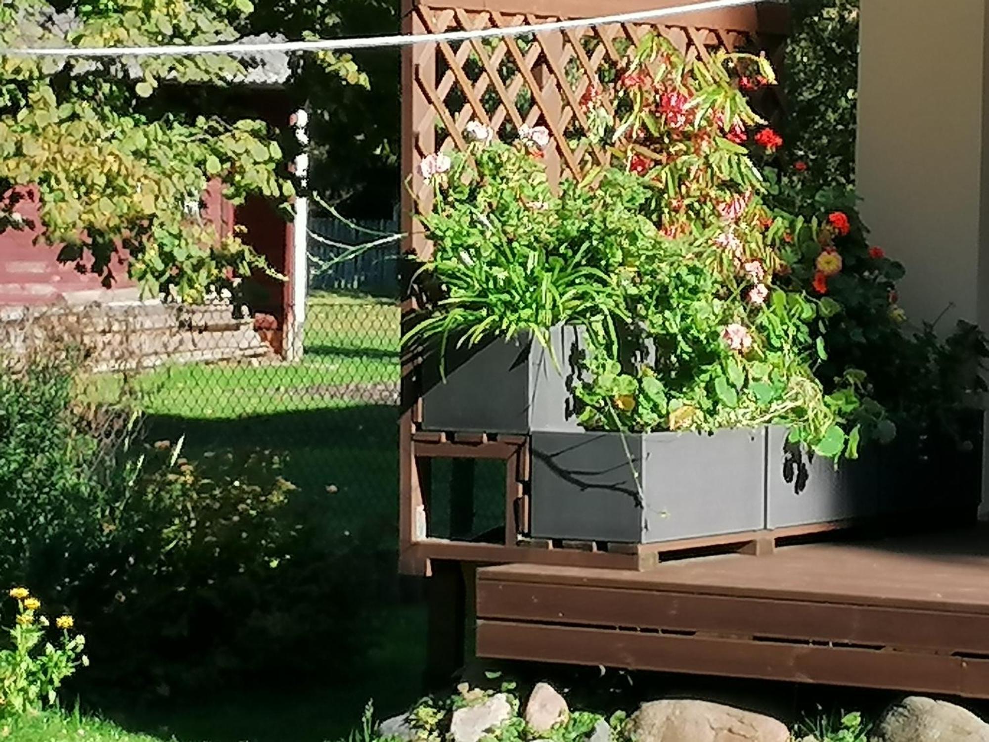Villa River Rose Jõesuu Екстериор снимка