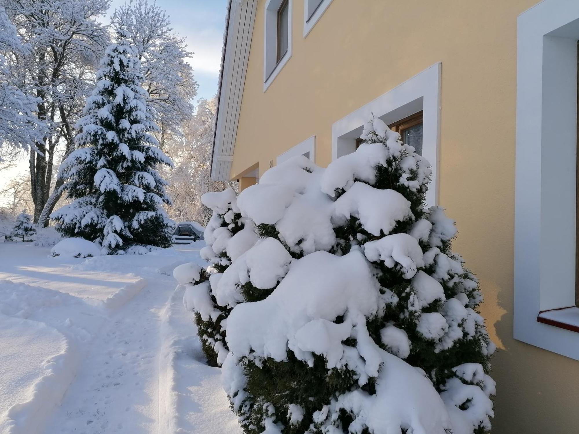 Villa River Rose Jõesuu Екстериор снимка