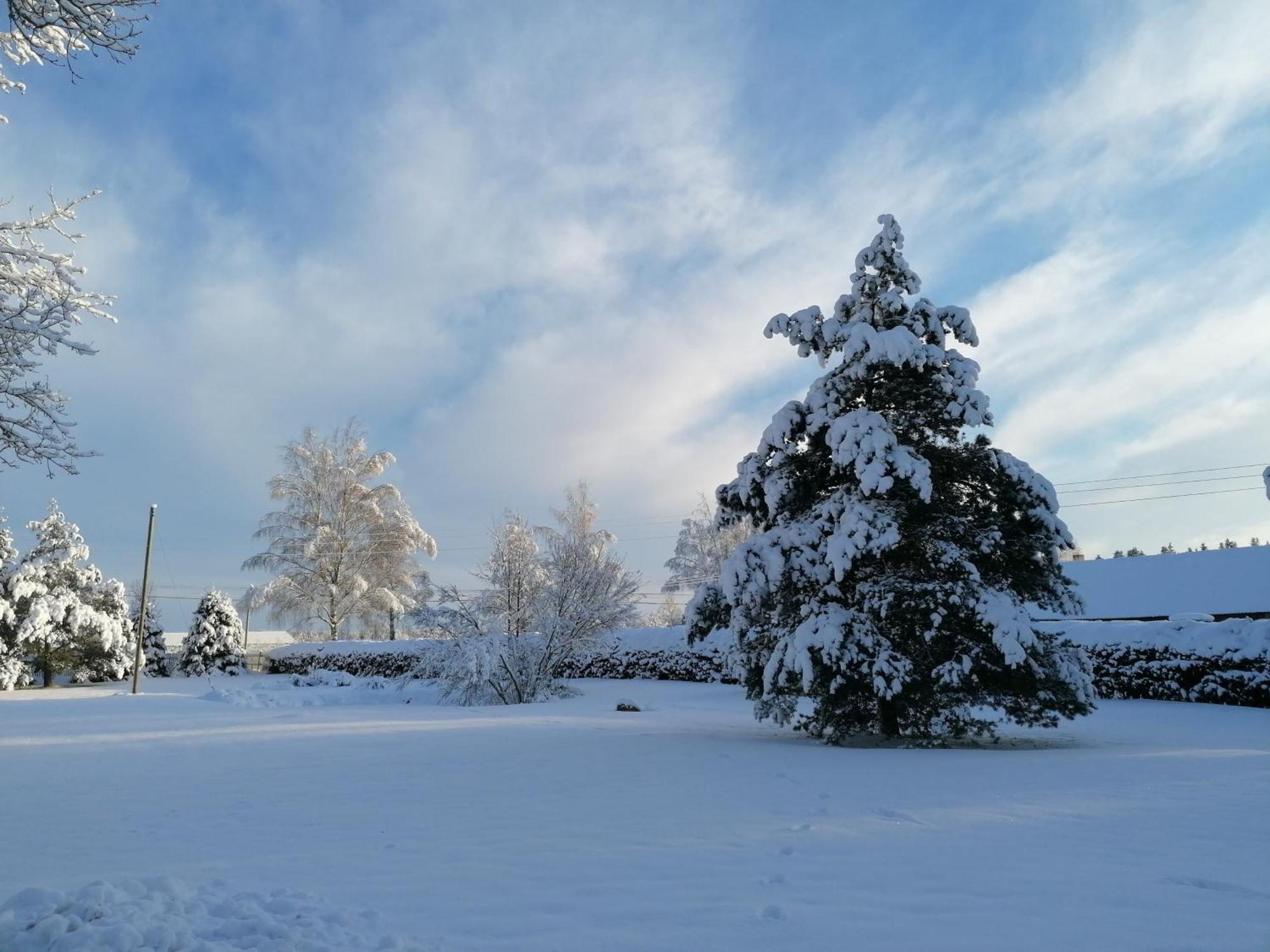 Villa River Rose Jõesuu Екстериор снимка